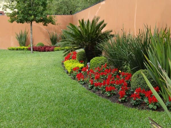 Elacios Gardening & Lanscaping Image
